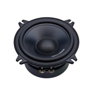 DD Audio AW5.25