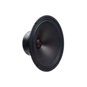 DD Audio VO-M210-S4